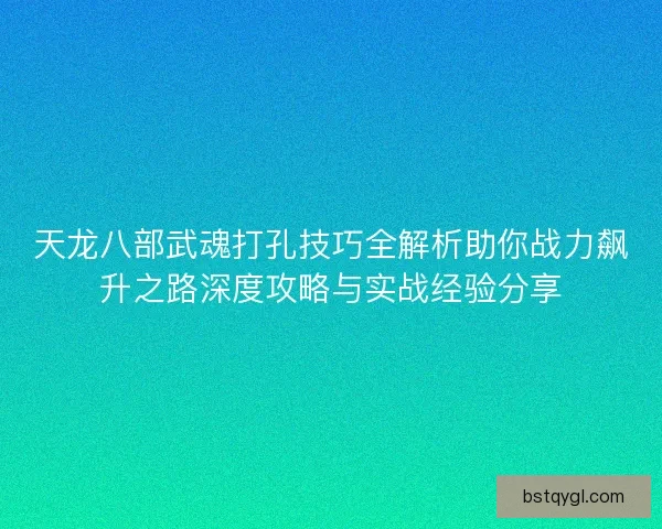 天龙八部武魂打孔技巧全解析助你战力飙升之路深度攻略与实战经验分享